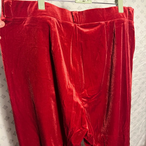 Velvet Red Pants - Picture 14 of 14